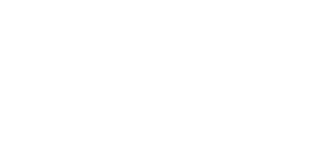 Nrp Digigo Best Web Solutions, Marketing and AI Automation Agency